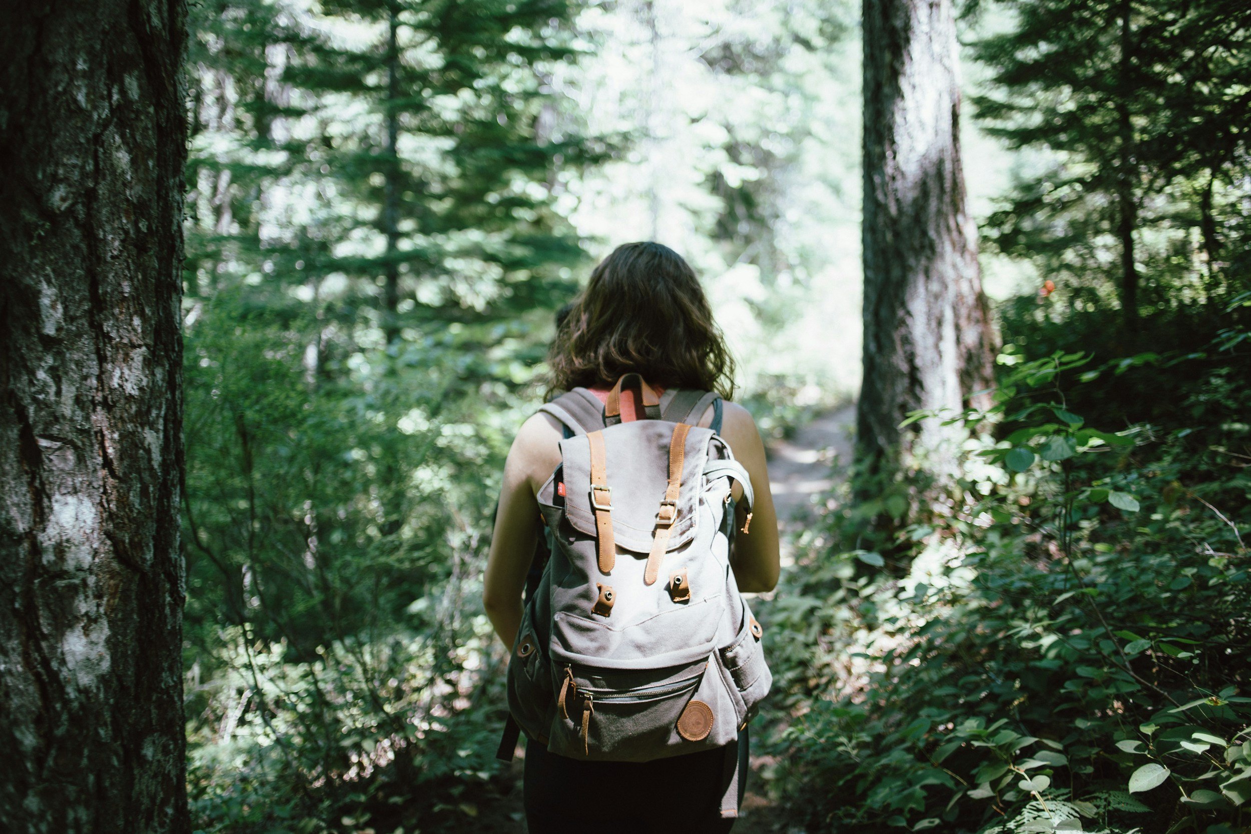 Top Ways to Stay Active for Free This Summer
