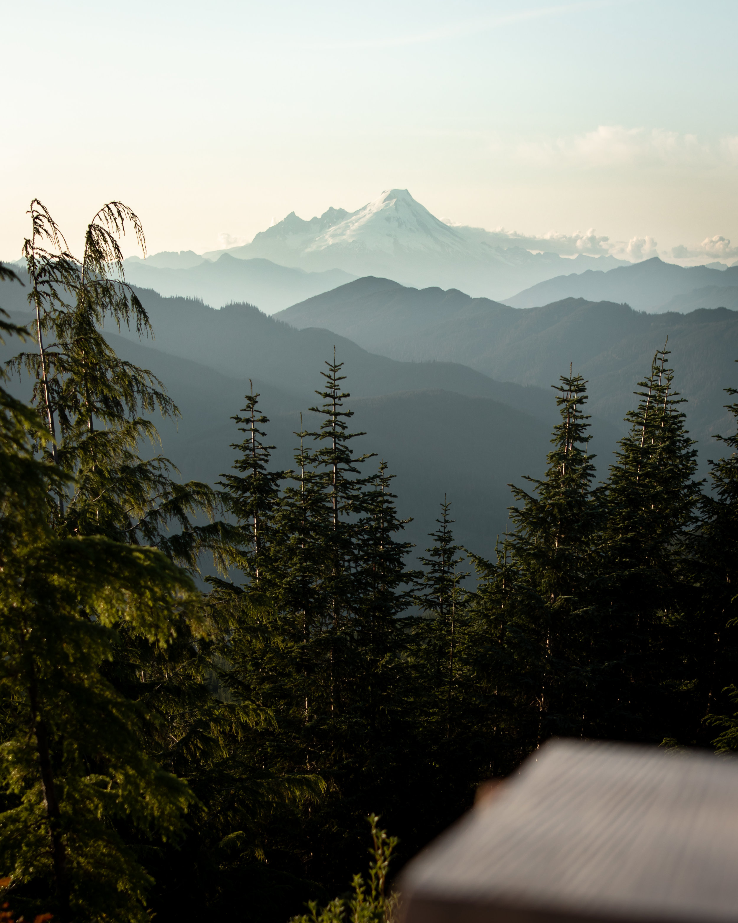 2020 Open Enrollment is Almost Here